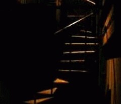 Black Chamber ブラックチャンバー